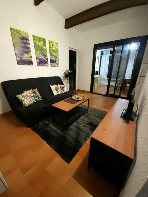 A 8 Mn A Pied Des Plages Appartement Avec Piscine Et Tennis Argeles-sur-Mer Exterior photo