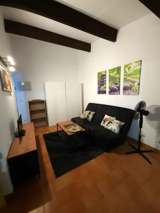 A 8 Mn A Pied Des Plages Appartement Avec Piscine Et Tennis Argeles-sur-Mer Exterior photo