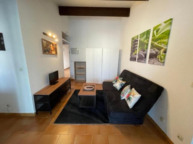A 8 Mn A Pied Des Plages Appartement Avec Piscine Et Tennis Argeles-sur-Mer Exterior photo